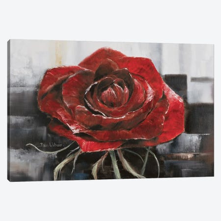 Blooming Red Rose Canvas Print #HAA4} by Rian Withaar Canvas Art Print