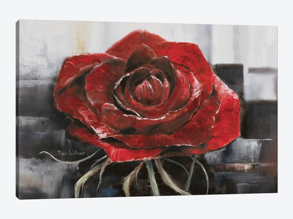 Blooming Red Rose by Rian Withaar 1-piece Canvas Art