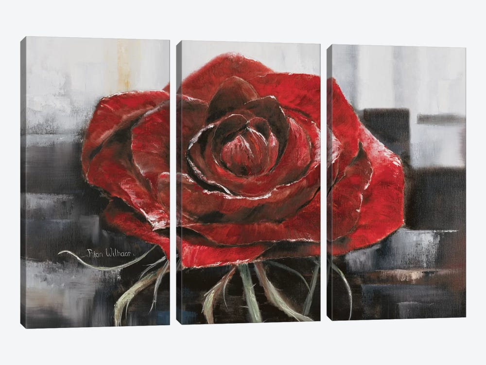 Blooming Red Rose by Rian Withaar 3-piece Canvas Art