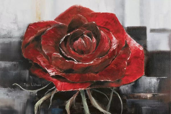 Nature Close-Ups: Blooming Red Rose by Rian Withaar