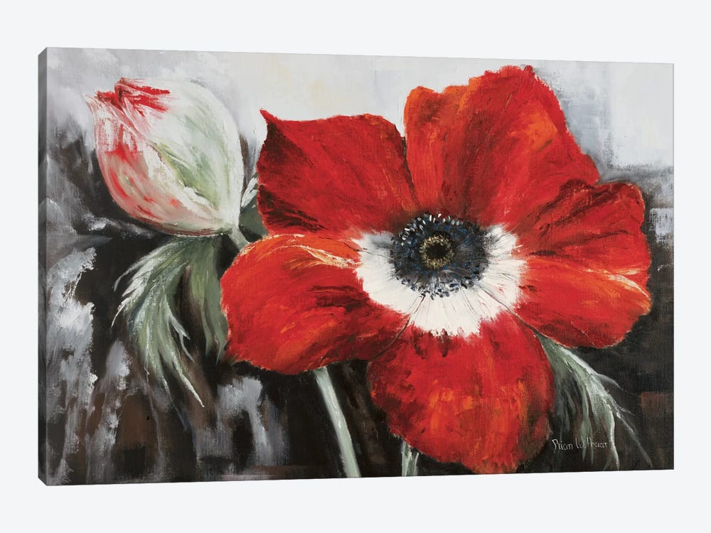 Poppy In Full Bloom by Rian Withaar 1-piece Canvas Print