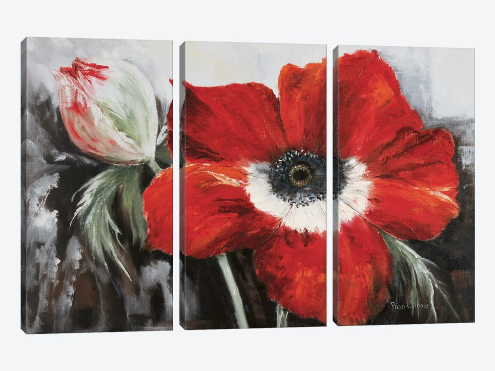 Poppy In Full Bloom by Rian Withaar 3-piece Art Print