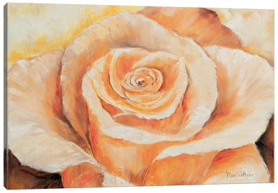 Rose In Detail Canvas Art Print
