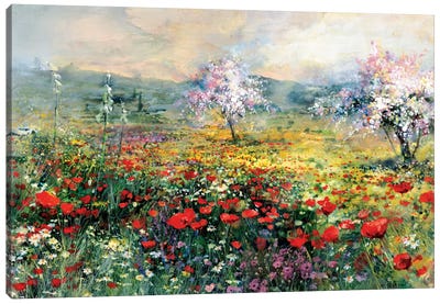 Between The Poppies Canvas Art Print - Garden & Floral Landscape Art