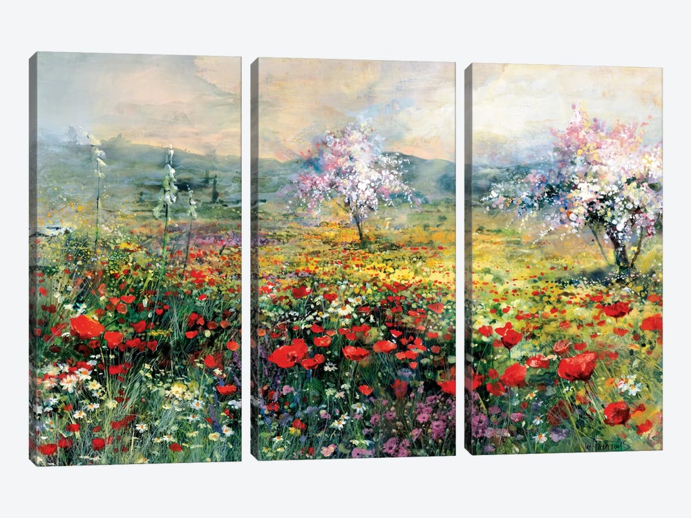 Between The Poppies by Willem Haenraets 3-piece Art Print