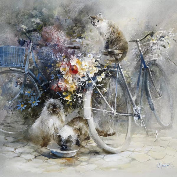 Bicycles: Bicycle Race by Willem Haenraets