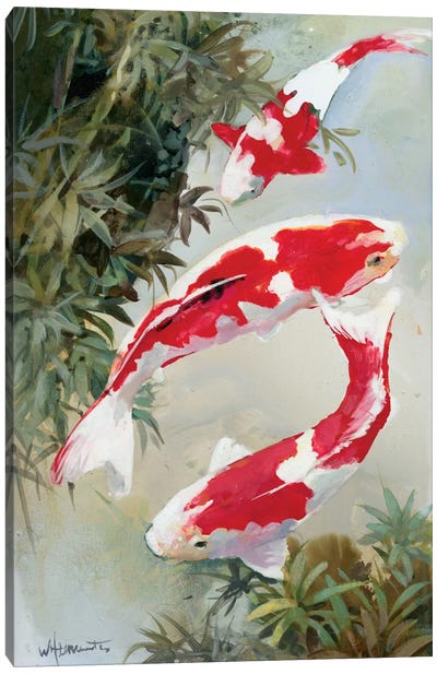 Koi I Canvas Art Print - Koi Fish Art