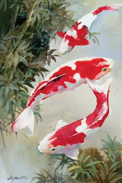 Koi: Koi I by Willem Haenraets