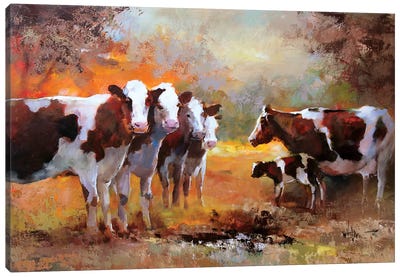 Calf Canvas Art Print - Willem Haenraets