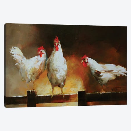 Chicken II Canvas Print #HAE24} by Willem Haenraets Canvas Print