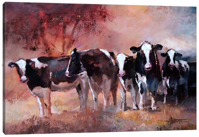 Cows Canvas Art Print - Cow Art