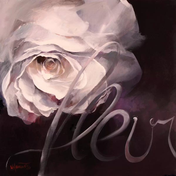 Black & Pink: Fleur I by Willem Haenraets