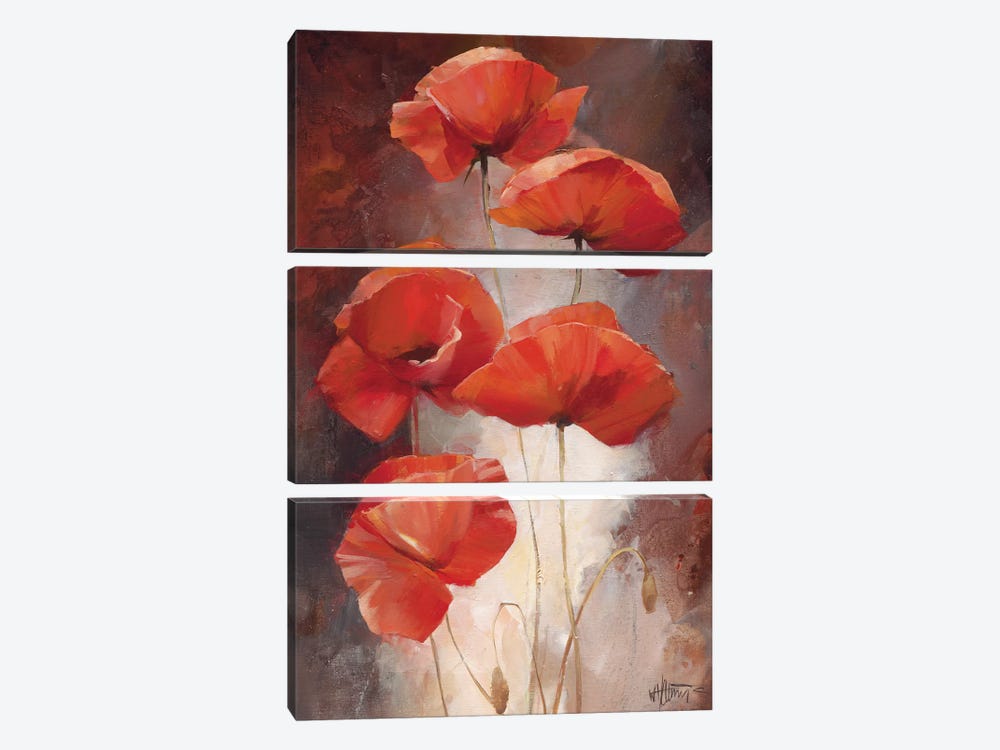 Poppy Bouquet I by Willem Haenraets 3-piece Canvas Print