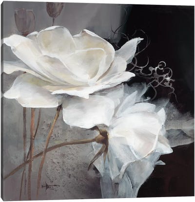 Wealth Of Flowers I Canvas Art Print - Willem Haenraets