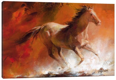 Wild Horses I Canvas Art Print - Willem Haenraets