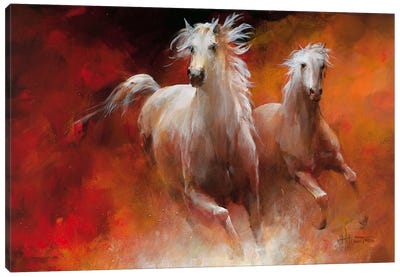 Wild Horses II Canvas Art Print - Willem Haenraets