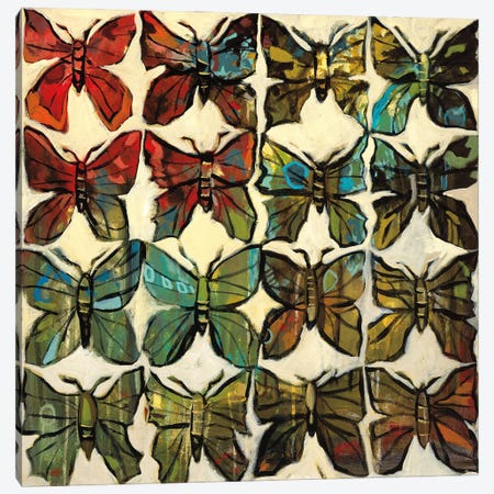 Butterflies Canvas Print #HAR1} by Jennifer Harwood Canvas Wall Art