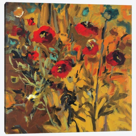 Wild Poppies Canvas Print #HAR5} by Jennifer Harwood Art Print