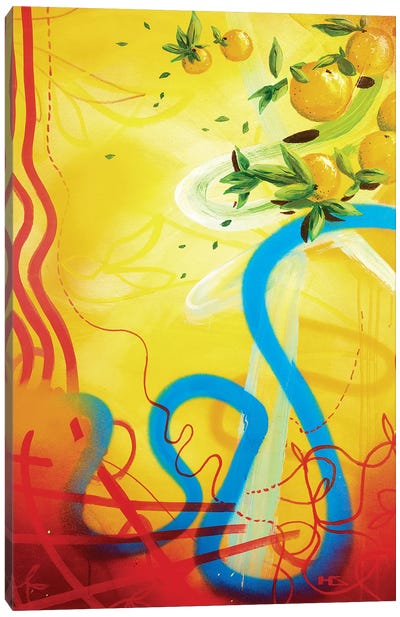 Costa del Sol Canvas Art Print - Harry Salmi