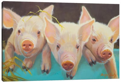 Life As A Pig I Canvas Art Print - Pigs