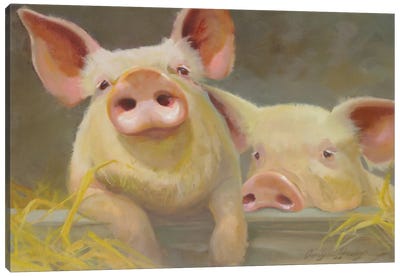 Life As A Pig II Canvas Art Print