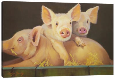Life As A Pig III Canvas Art Print
