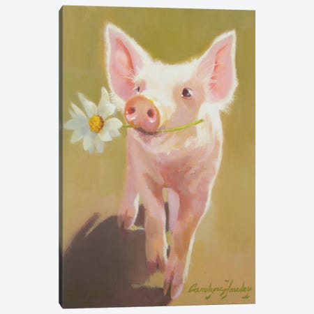 Life As A Pig IV Canvas Print #HAW15} by Carolyne Hawley Canvas Wall Art