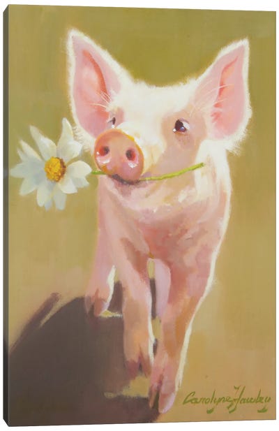 Life As A Pig IV Canvas Art Print