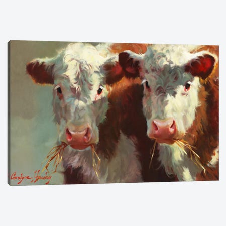 Cow Belles Canvas Print #HAW1} by Carolyne Hawley Canvas Print