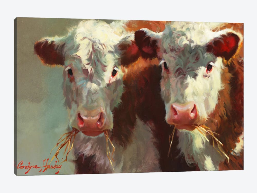 Cow Belles by Carolyne Hawley 1-piece Canvas Print