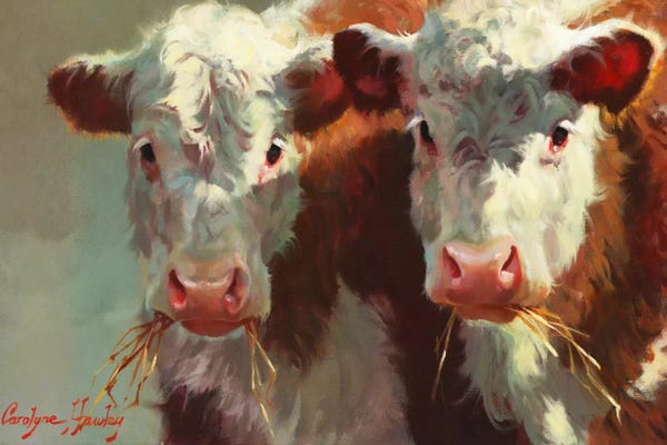 Modern Farmhouse Décor: Cow Belles by Carolyne Hawley