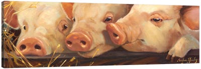 Pig Heaven Canvas Art Print