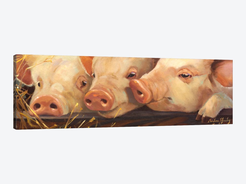 Pig Heaven by Carolyne Hawley 1-piece Canvas Wall Art