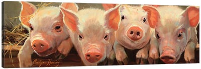 The Big Squeeze Canvas Art Print - Pig Art