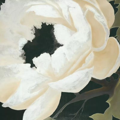 Floral Study by KC Haxton framed wall art