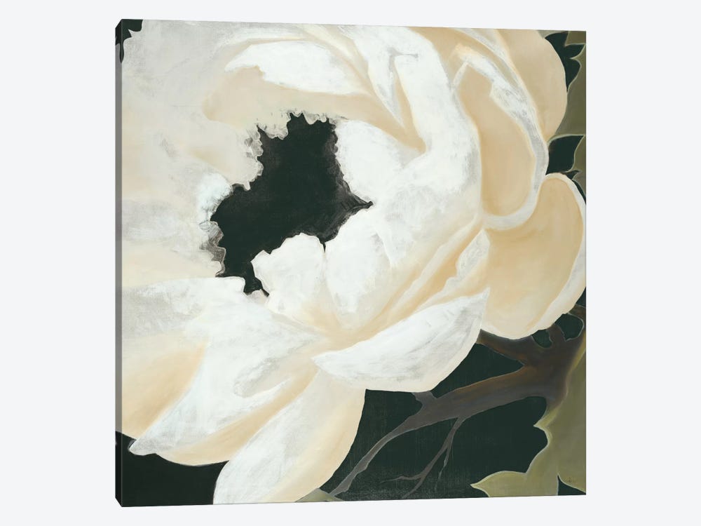 Floral Study by KC Haxton 1-piece Canvas Wall Art