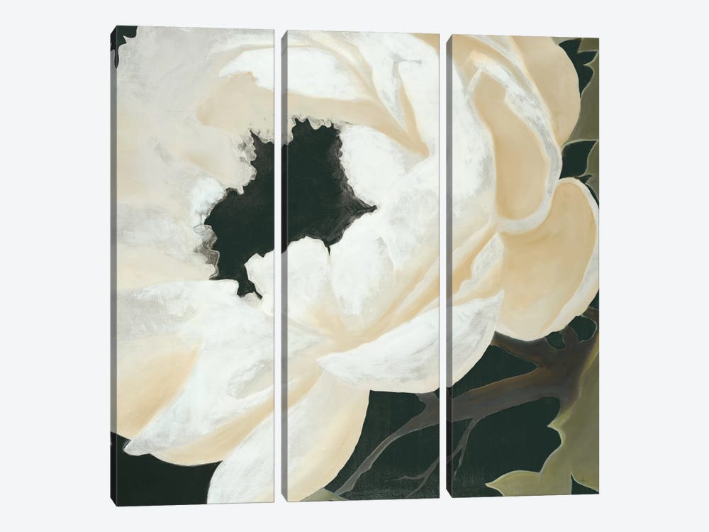 Floral Study by KC Haxton 3-piece Canvas Artwork
