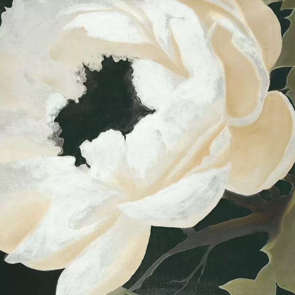 KC Haxton: Floral Study by KC Haxton