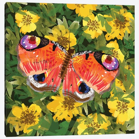Peacock Butterfly Canvas Print #HBL39} by Helen Black Canvas Art