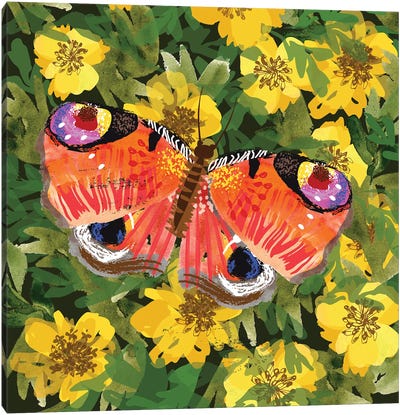 Peacock Butterfly Canvas Art Print - Helen Black