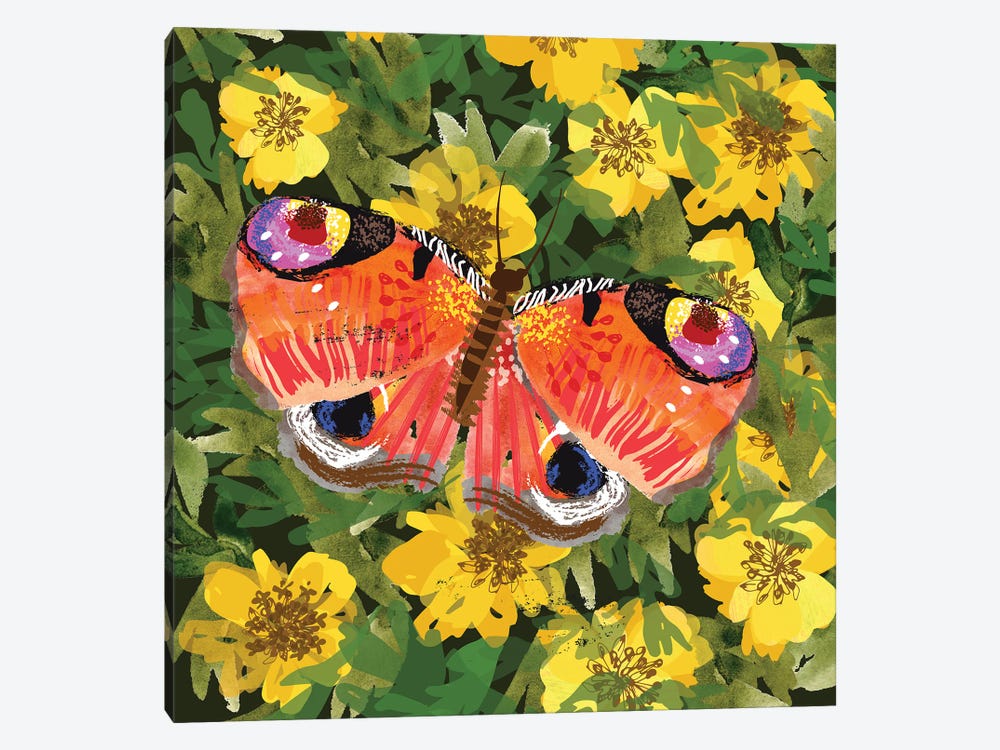 Peacock Butterfly by Helen Black 1-piece Canvas Artwork