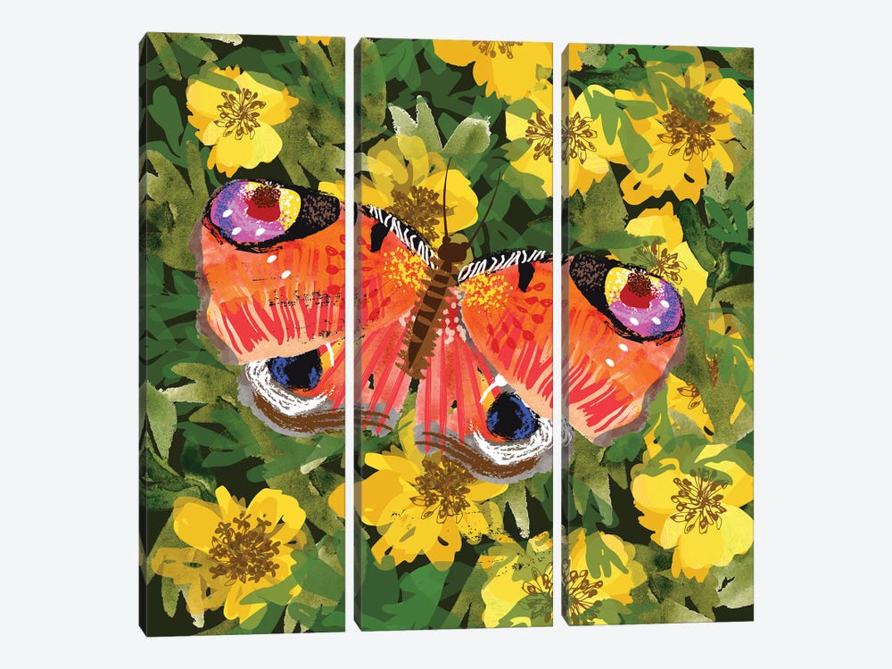 Peacock Butterfly by Helen Black 3-piece Canvas Artwork