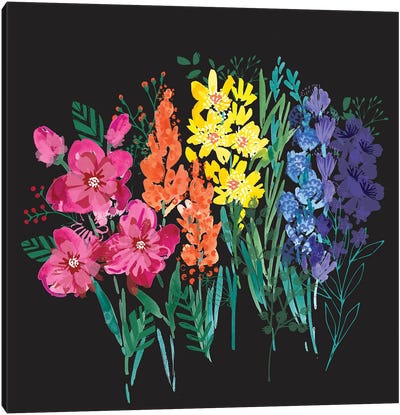 Rainbow Flowers Canvas Art Print - Helen Black