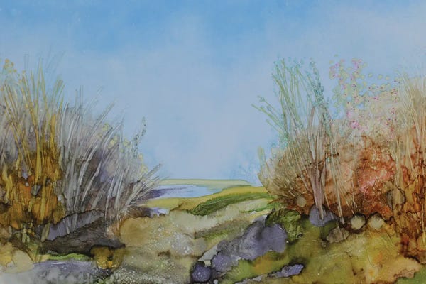 Hanneke Pereboom: Landscape by Hanneke Pereboom