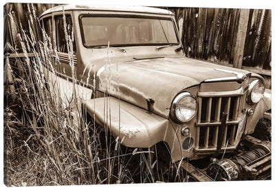 Willys in Sepia Canvas Art Print