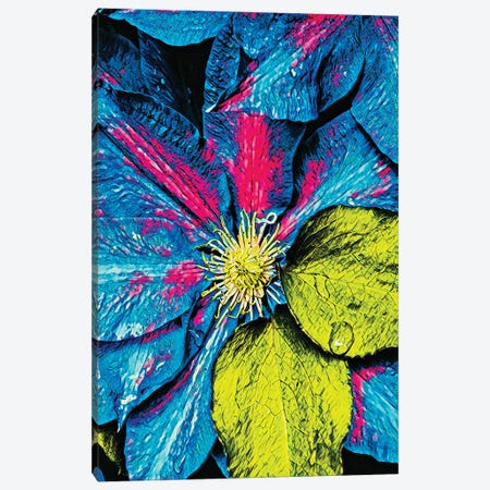 Clematis Abstract Canvas Print #HBN6} by Heidi Bannon Canvas Print