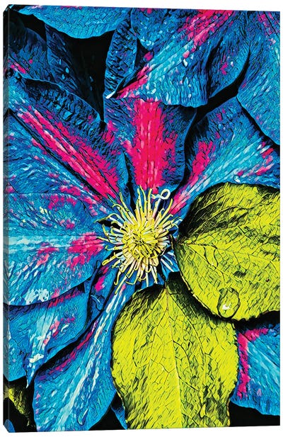Clematis Abstract Canvas Art Print