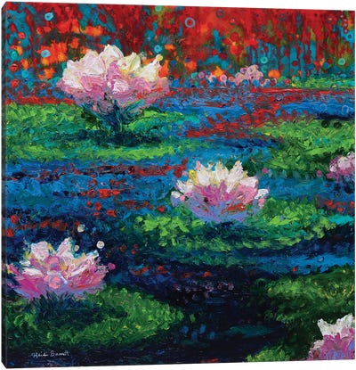 Water Lilies Canvas Art Print - Heidi Barnett