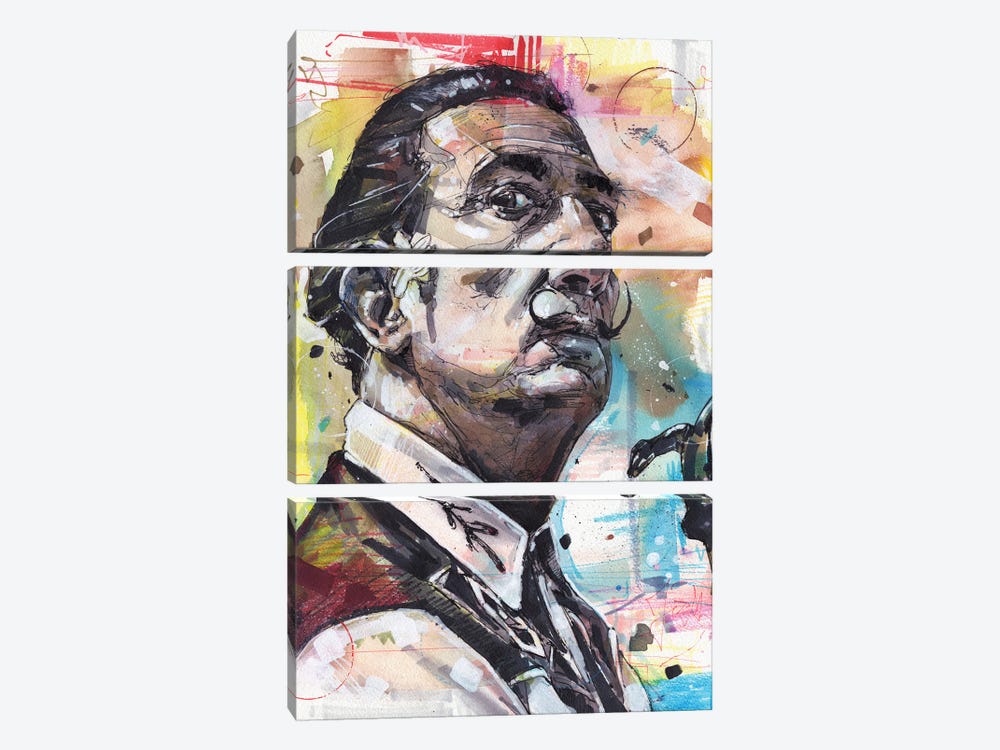 Salvador Dali by Jos Hoppenbrouwers 3-piece Canvas Wall Art