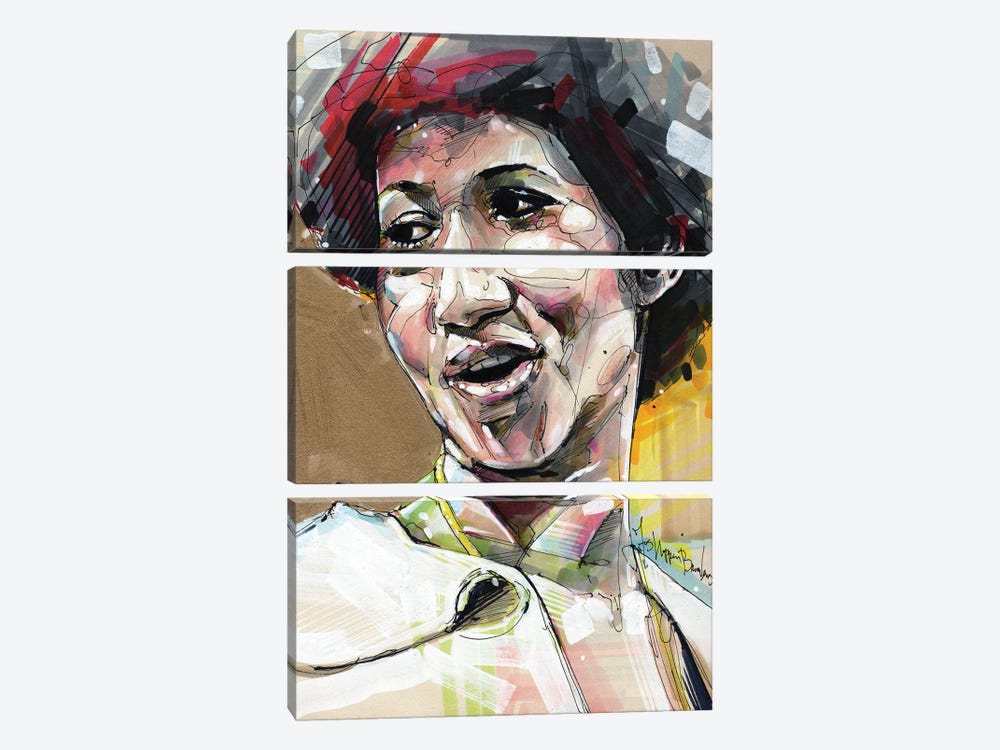 Aretha Franklin by Jos Hoppenbrouwers 3-piece Canvas Art Print